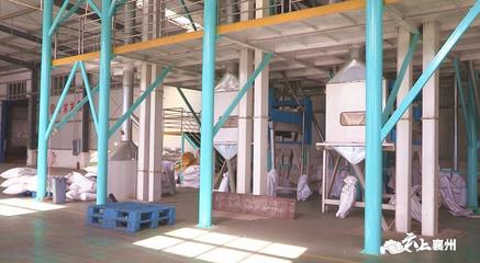 产值翻10倍!小小橡籽成就创业梦!