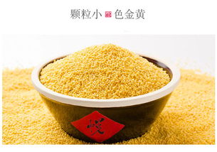 粮悦大吃兄小米锅巴 安徽特产的麻辣零食新选择